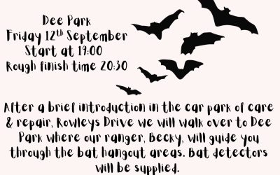Bat Walk