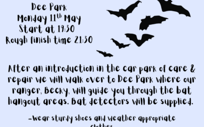Bat Walk
